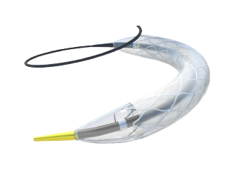 Celosia™ medical device